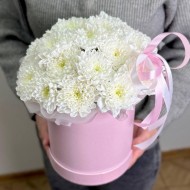 Притяжение нежности Притяжение нежности